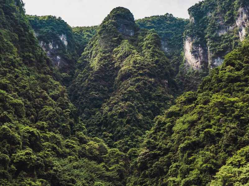 Julie Green Prophecies 2024 Jan.&nbsp;8-15b